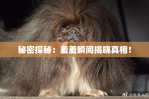 秘密探秘：羞羞瞬间揭晓真相！