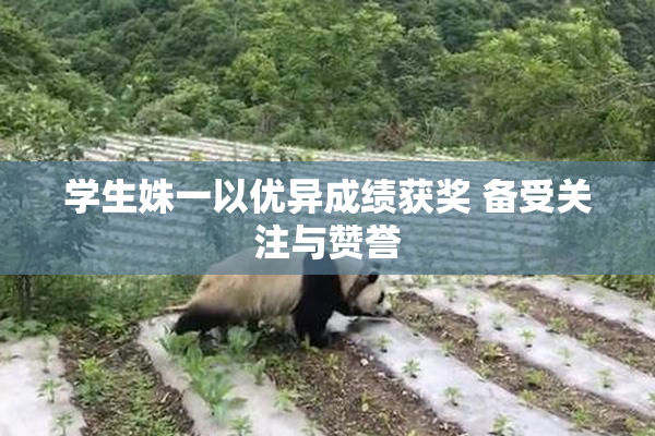 学生姝一以优异成绩获奖 备受关注与赞誉