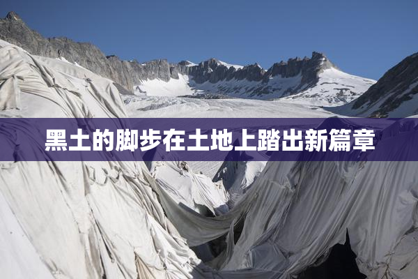 黑土的脚步在土地上踏出新篇章