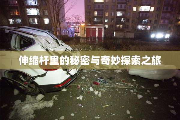 伸缩杆里的秘密与奇妙探索之旅