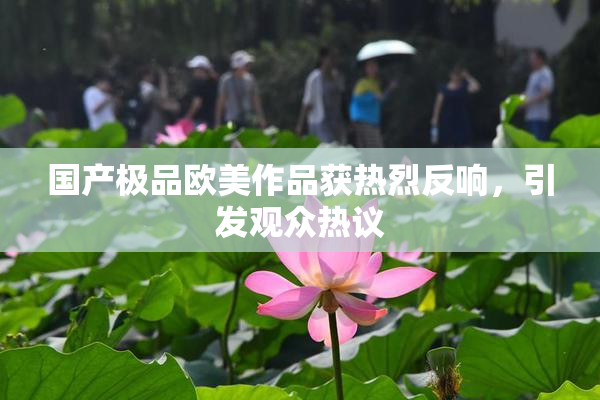 国产极品欧美作品获热烈反响，引发观众热议