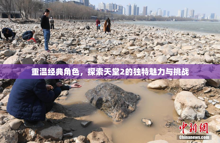 重温经典角色，探索天堂2的独特魅力与挑战