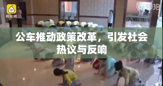 公车推动政策改革，引发社会热议与反响