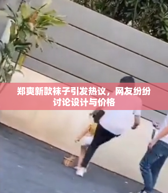 郑爽新款袜子引发热议，网友纷纷讨论设计与价格
