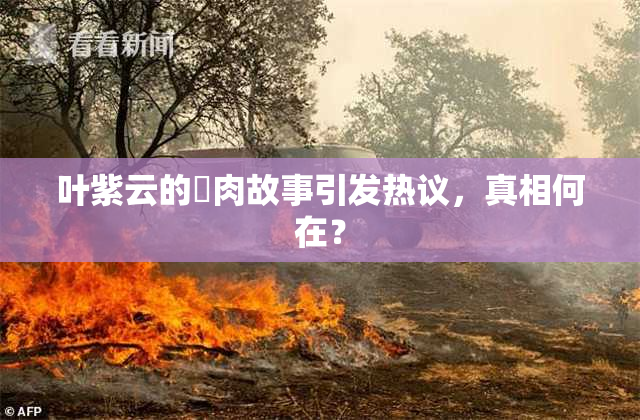 叶紫云的婬肉故事引发热议，真相何在？