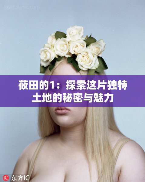 莜田的1：探索这片独特土地的秘密与魅力