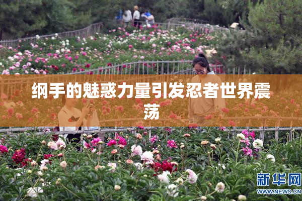 纲手的魅惑力量引发忍者世界震荡