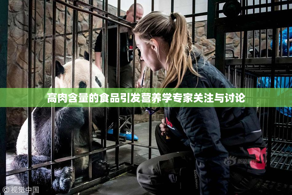 高肉含量的食品引发营养学专家关注与讨论