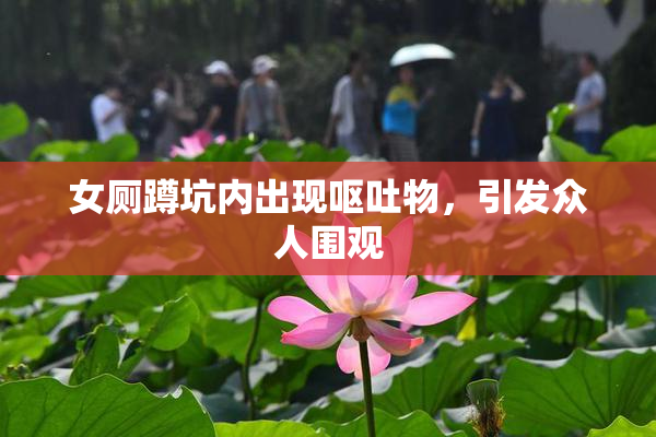 女厕蹲坑内出现呕吐物，引发众人围观