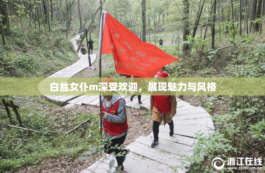 白丝女仆m深受欢迎，展现魅力与风格