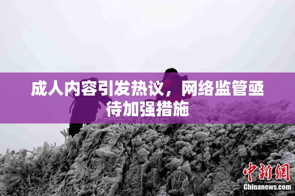 成人内容引发热议，网络监管亟待加强措施