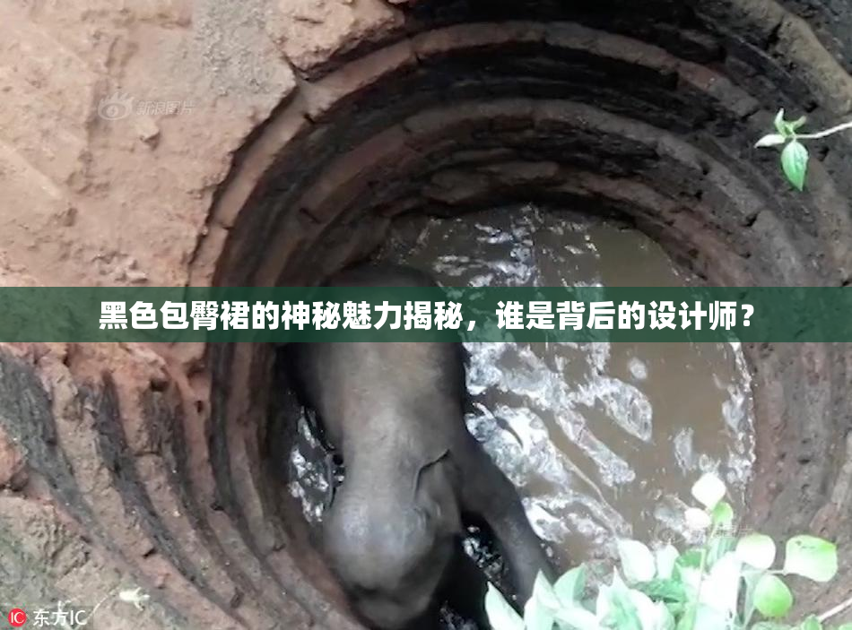 黑色包臀裙的神秘魅力揭秘，谁是背后的设计师？