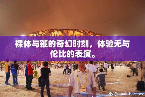 裸体与鞭的奇幻时刻，体验无与伦比的表演。
