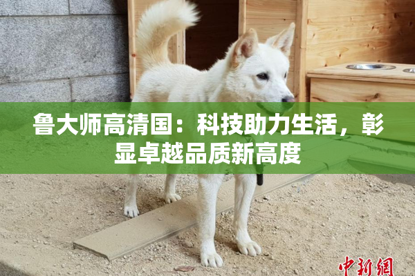 鲁大师高清国：科技助力生活，彰显卓越品质新高度