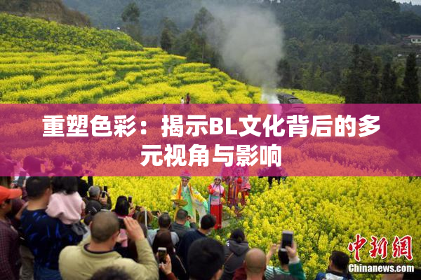 重塑色彩：揭示BL文化背后的多元视角与影响