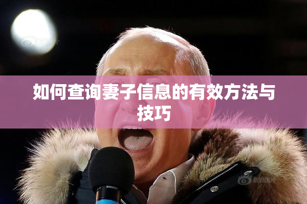 如何查询妻子信息的有效方法与技巧