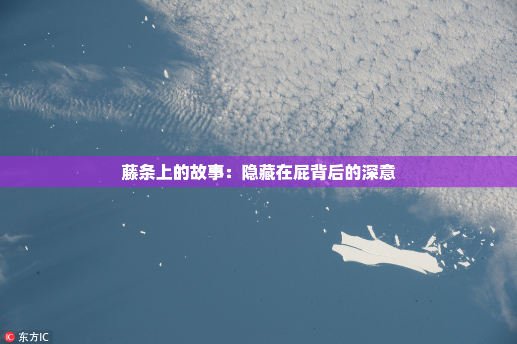 藤条上的故事：隐藏在屁背后的深意