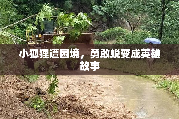 小狐狸遭困境，勇敢蜕变成英雄故事