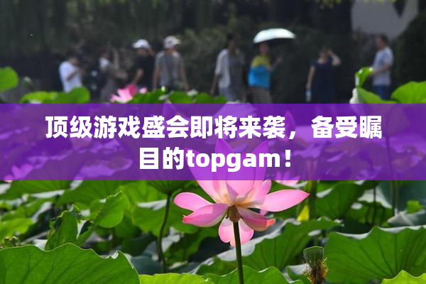 顶级游戏盛会即将来袭，备受瞩目的topgam！