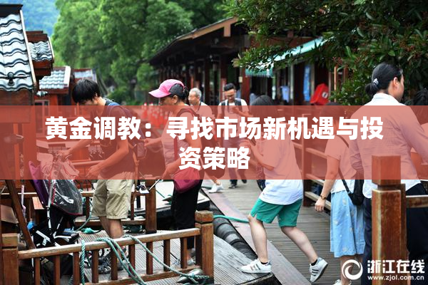 黄金调教：寻找市场新机遇与投资策略