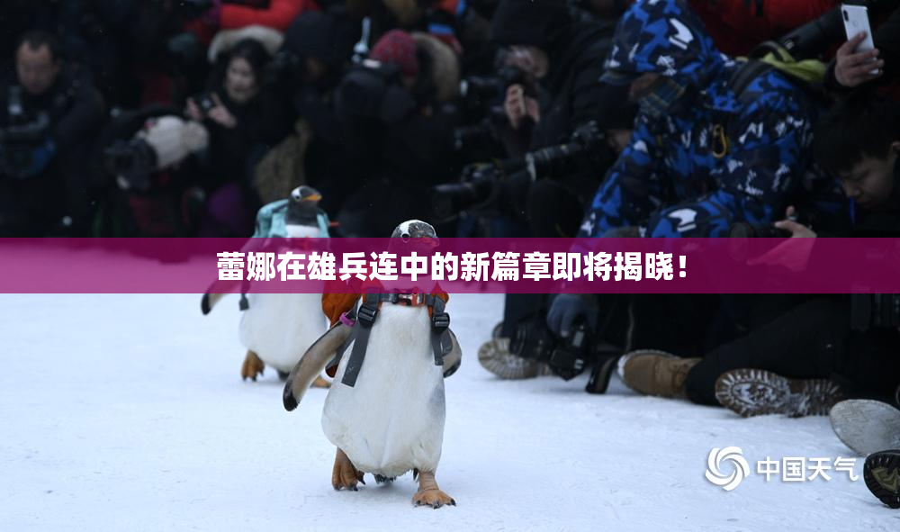 蕾娜在雄兵连中的新篇章即将揭晓！