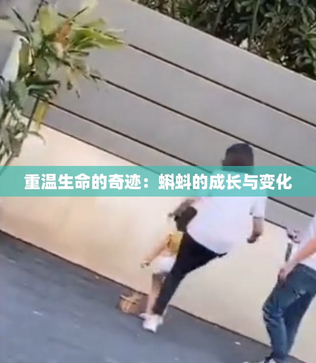 重温生命的奇迹：蝌蚪的成长与变化