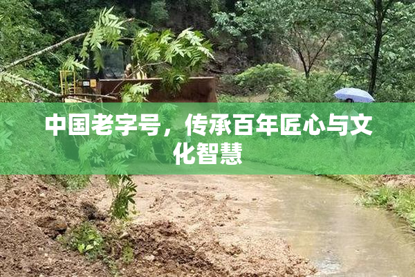 中国老字号，传承百年匠心与文化智慧