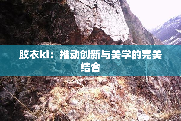 胶衣ki：推动创新与美学的完美结合