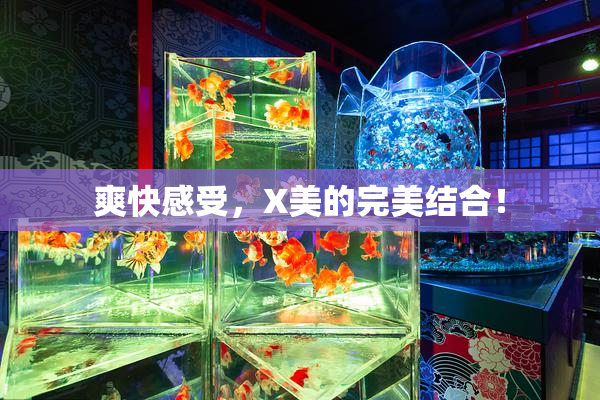 爽快感受，X美的完美结合！