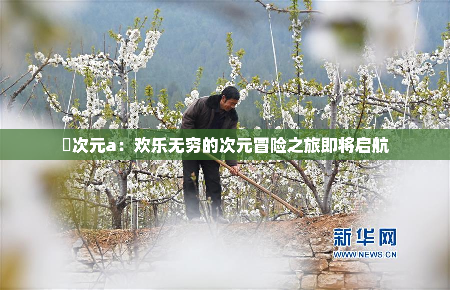 囧次元a：欢乐无穷的次元冒险之旅即将启航