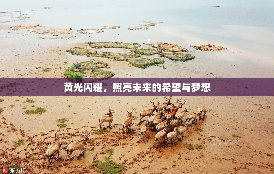 黄光闪耀，照亮未来的希望与梦想