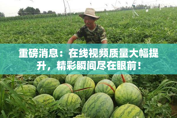 重磅消息：在线视频质量大幅提升，精彩瞬间尽在眼前！