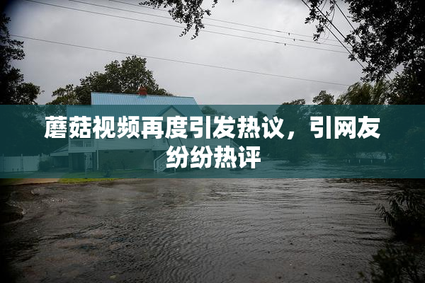 蘑菇视频再度引发热议，引网友纷纷热评