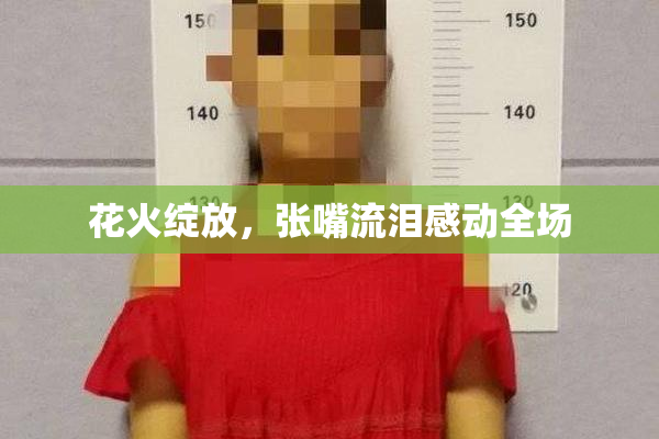 花火绽放，张嘴流泪感动全场