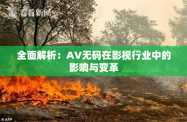 全面解析：AV无码在影视行业中的影响与变革