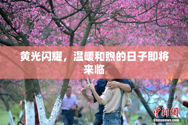 黄光闪耀，温暖和煦的日子即将来临