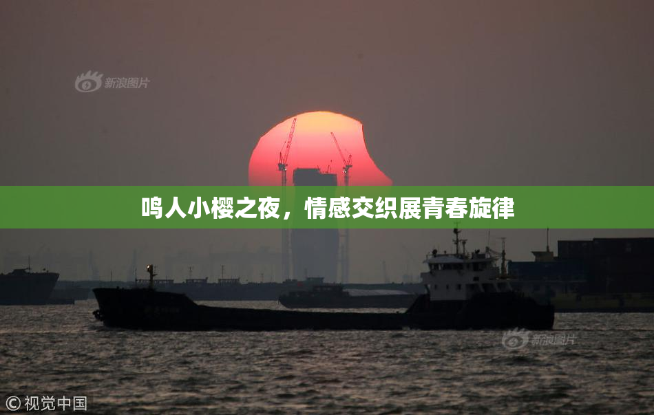 鸣人小樱之夜，情感交织展青春旋律