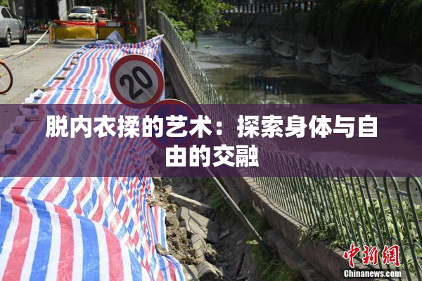 脱内衣揉的艺术：探索身体与自由的交融