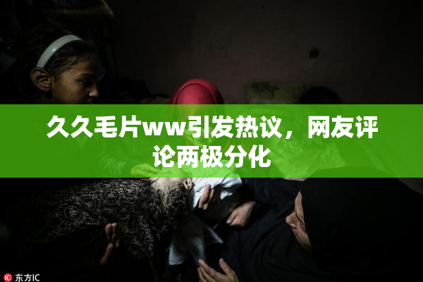 久久毛片ww引发热议，网友评论两极分化