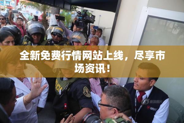 全新免费行情网站上线，尽享市场资讯！
