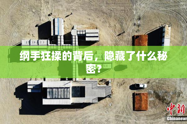 纲手狂揉的背后，隐藏了什么秘密？