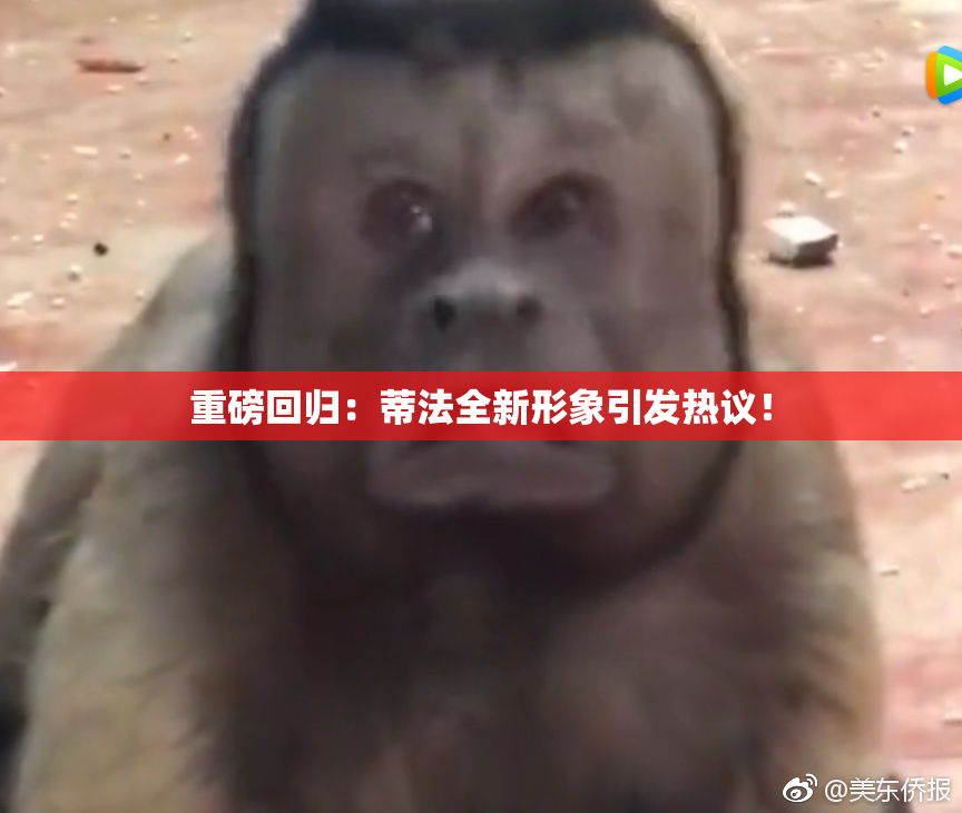 重磅回归：蒂法全新形象引发热议！