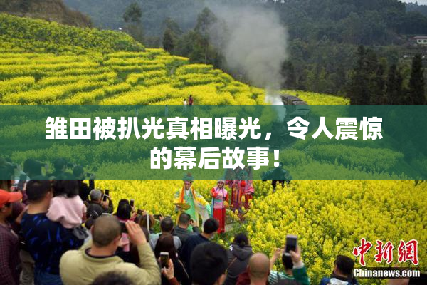 雏田被扒光真相曝光，令人震惊的幕后故事！