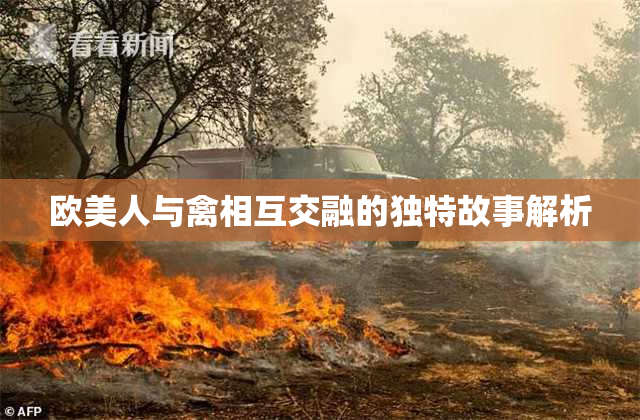 欧美人与禽相互交融的独特故事解析