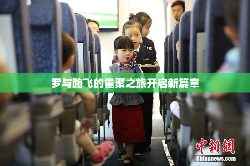 罗与路飞的重聚之旅开启新篇章