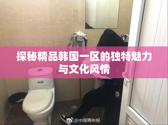 探秘精品韩国一区的独特魅力与文化风情