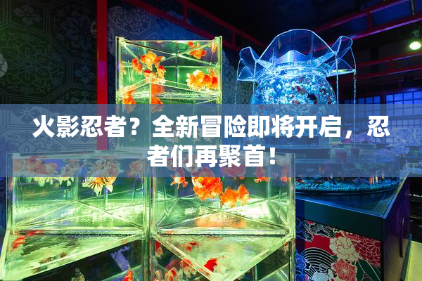 火影忍者？全新冒险即将开启，忍者们再聚首！