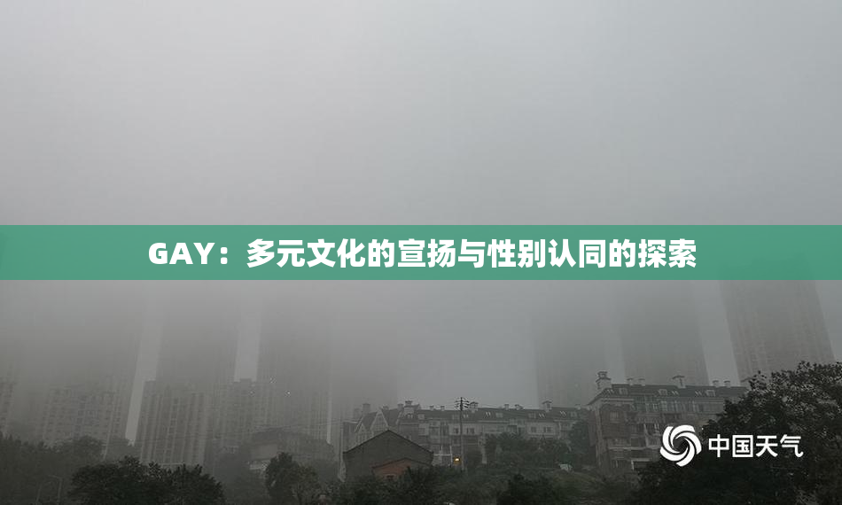 GAY：多元文化的宣扬与性别认同的探索
