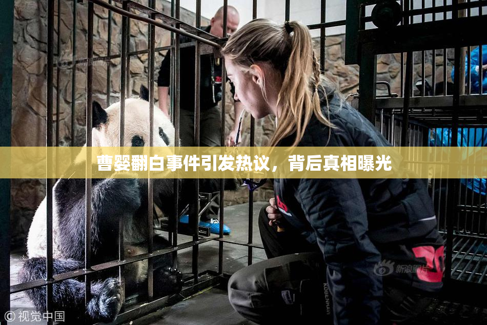 曹婴翻白事件引发热议，背后真相曝光