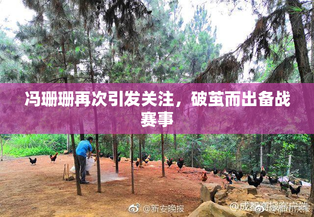 冯珊珊再次引发关注，破茧而出备战赛事